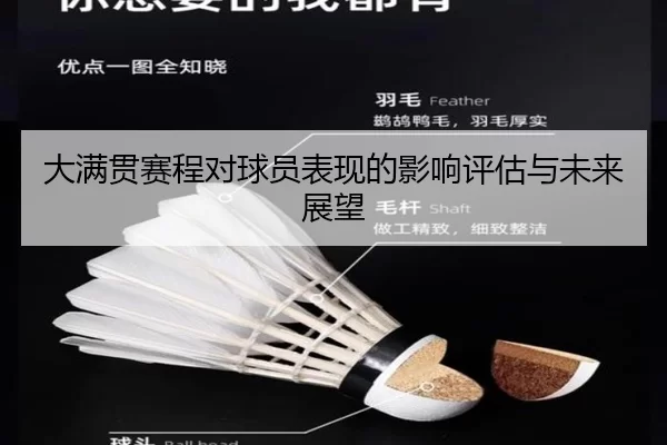 大满贯赛程对球员表现的影响评估与未来展望