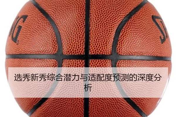 选秀新秀综合潜力与适配度预测的深度分析